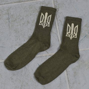 Чоловічі махрові Шкарпетки із Патріотичним принтом / Утеплені зимові Носки сірі розмір 41-45 50862bls-41-45 фото