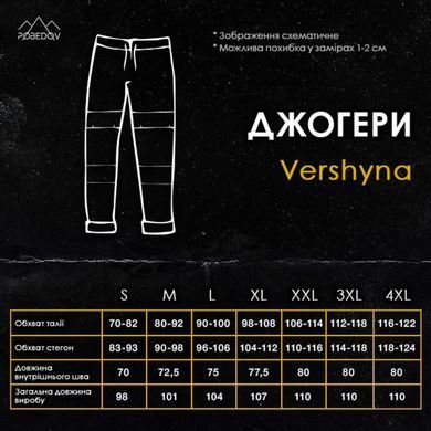 Штани джогери Pobedov Vershyna сині розмір S PNjo1281bbbls-S фото