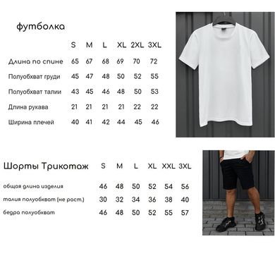 Летний Комплект Футболка и Шорты + ПОДАРОК ​​Барсетка UA белый с черным размер S int3166842303bls-S фото