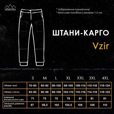 Штаны карго Pobedov Vzir олива размер S pobPNcr2873khbls-S фото