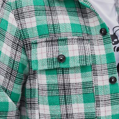 Чоловіча стильна Сорочка Intruder на гудзиках із кишенями зелена в клітку розмір S 1237412000bls-S фото