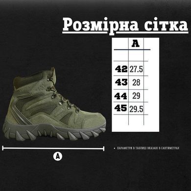 Тактичні черевики Lexer із сітчастими вставками олива розмір 42 buy90816bls-42 фото