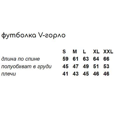 Мужская классическая Футболка Intruder Кулир с V-образной горловиной черная размер S 1607686166bls-S фото