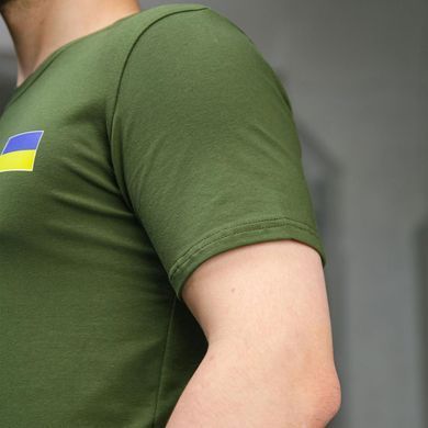 Базова чоловіча Футболка Intruder з патріотичним принтом Прапор України хакі розмір XL 9662699070bls-XL фото
